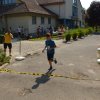 Falunap 2017